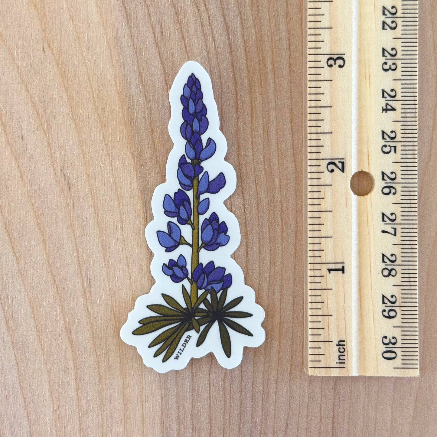 Lupine Sticker