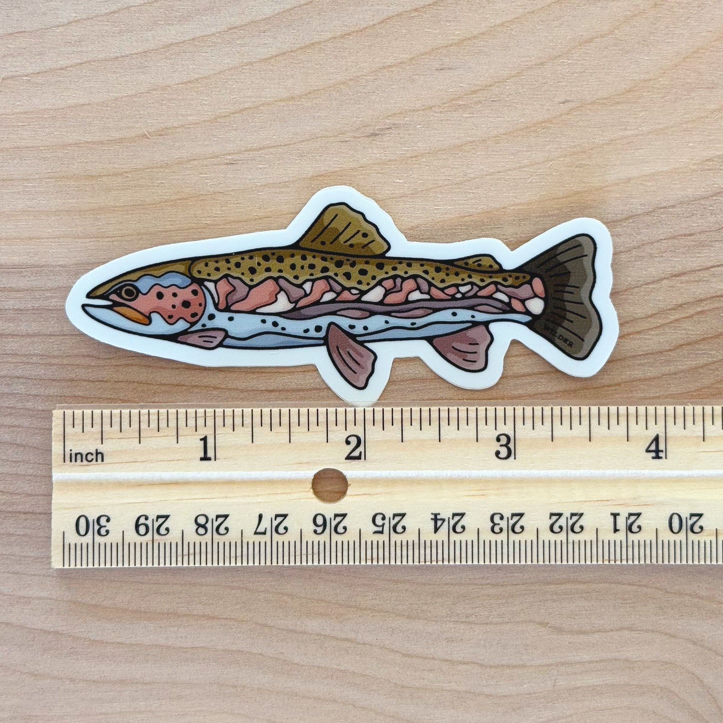 Mountain Trout Sticker