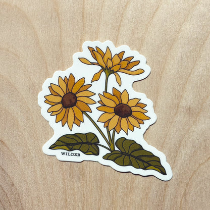 Arrowleaf Balsamroot Sticker