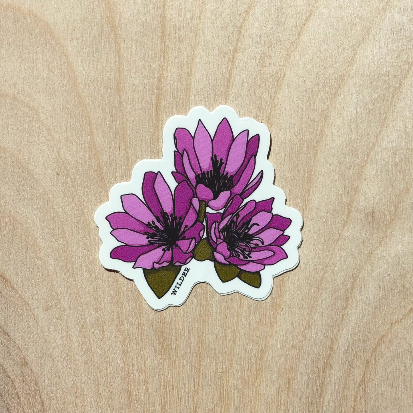 Bitterroot Sticker