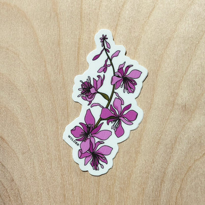 Fireweed Sticker