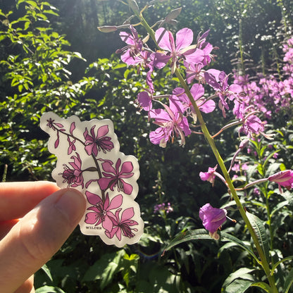 Fireweed Sticker