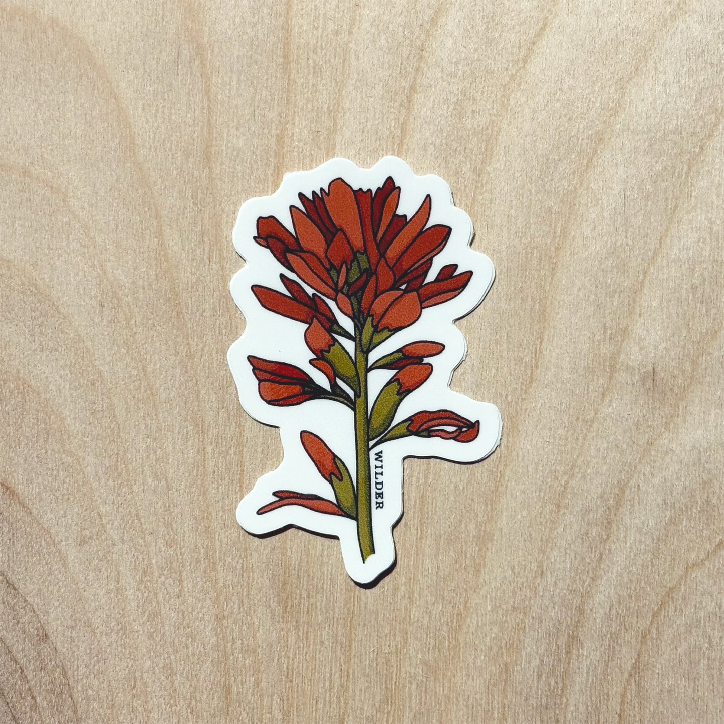 Indian Paintbrush Sticker