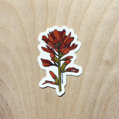 Indian Paintbrush Sticker