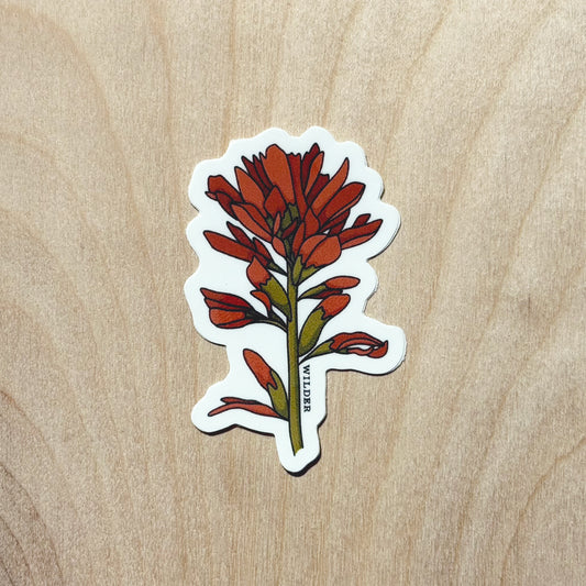 Indian Paintbrush Sticker