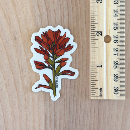 Indian Paintbrush Sticker