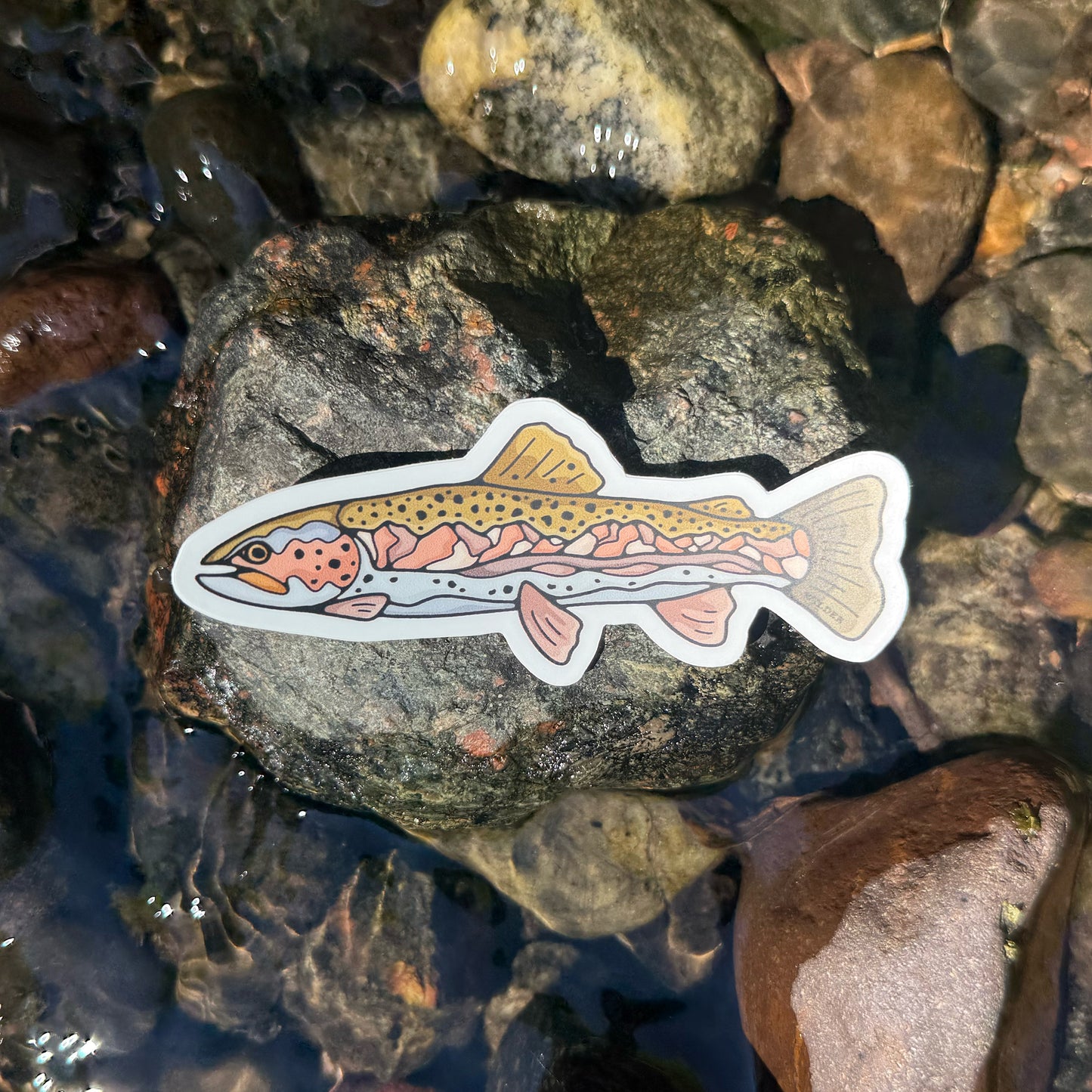 Mountain Trout Sticker