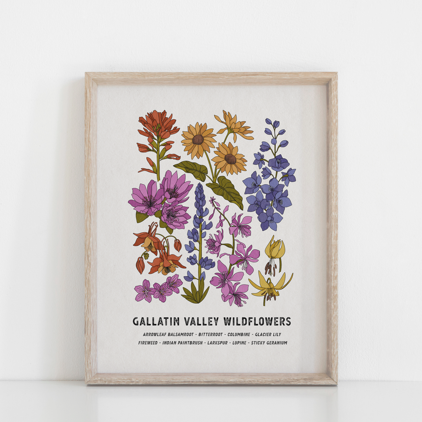 Gallatin Valley Wildflower Print